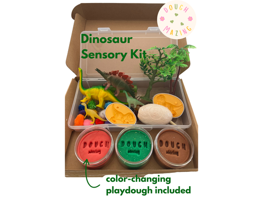 Dinosaur Sensory Kit